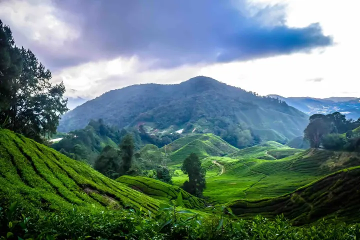Malaysia road trip route from Johor Bahru to Penang through Melaka Kuala Lumpur Cameron Highlands and Ipoh