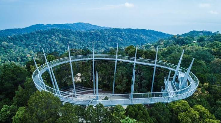 images (40).jpeg